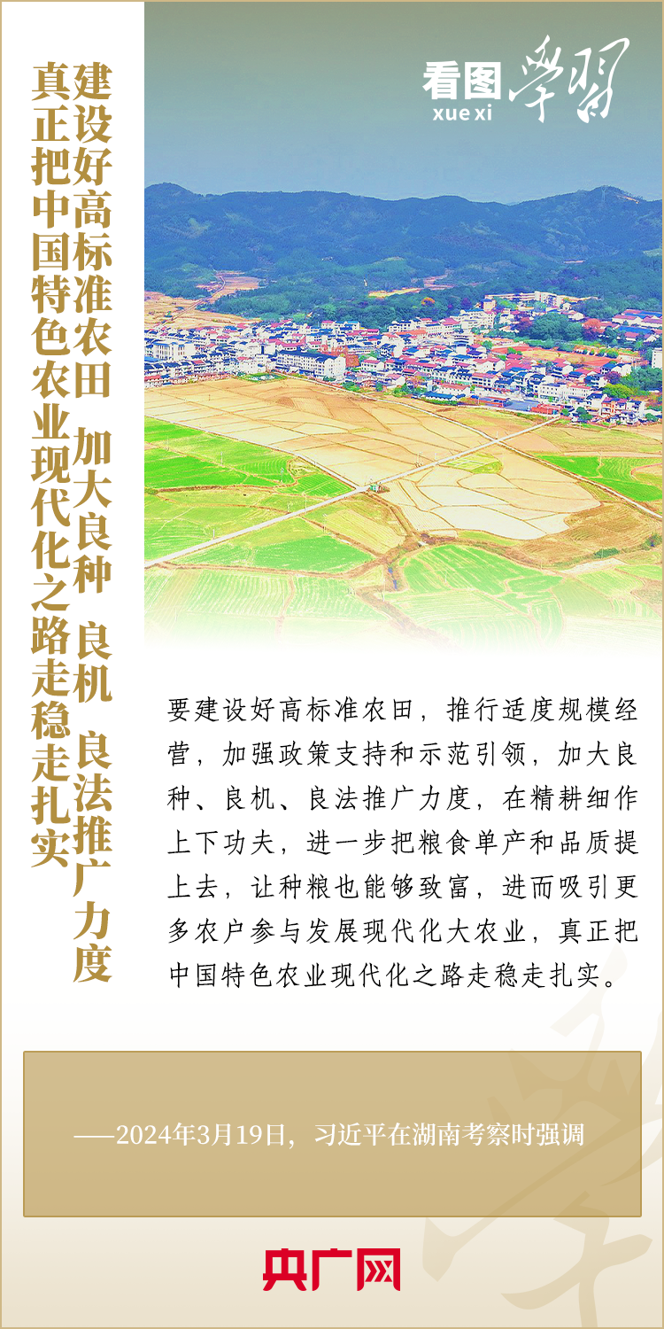分分彩技巧