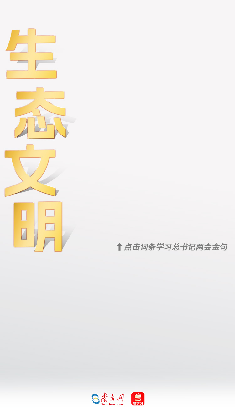 分分彩技巧